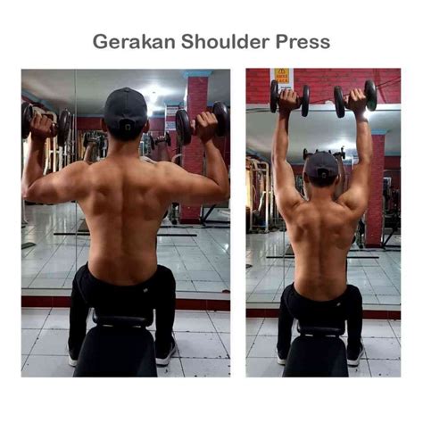 Gerakan Latihan Otot Bahu, Punggung - Lat Pull Down Set A - balustradellc