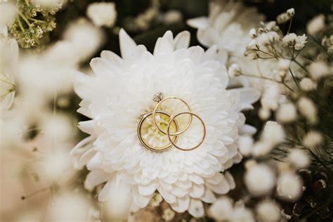 Get a marriage licence | New Zealand Government - Govt.nz - balustradellc