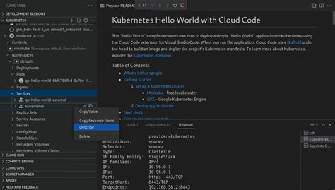 Get started with Cloud Code for VS Code for Kubernetes - coolestguyplanet.net
