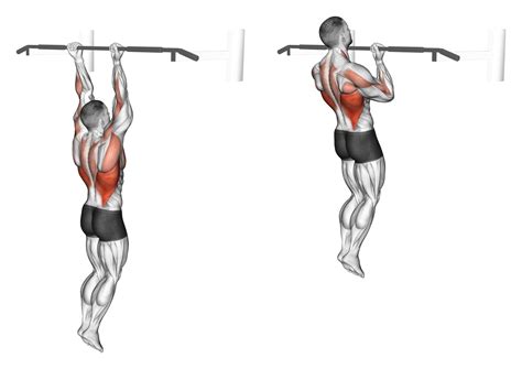 Get Stronger at Pull Ups | Using Resistance Bands - balustradellc