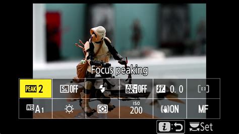 Get super sharp focus with focus peaking - Photofocus - balustradellc