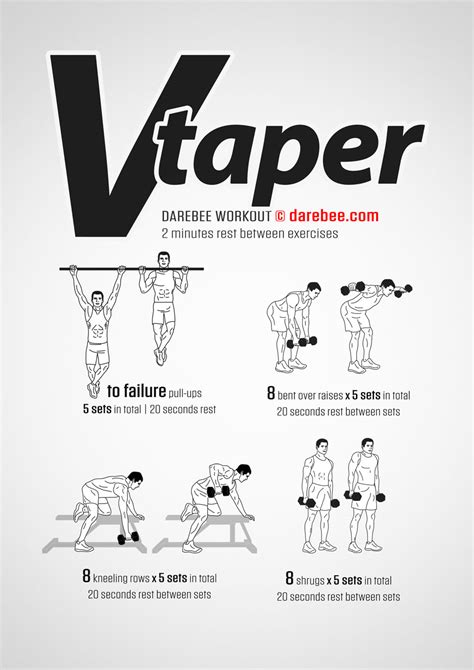 Getting A V Taper Physique: Workouts, Exercises - balustradellc