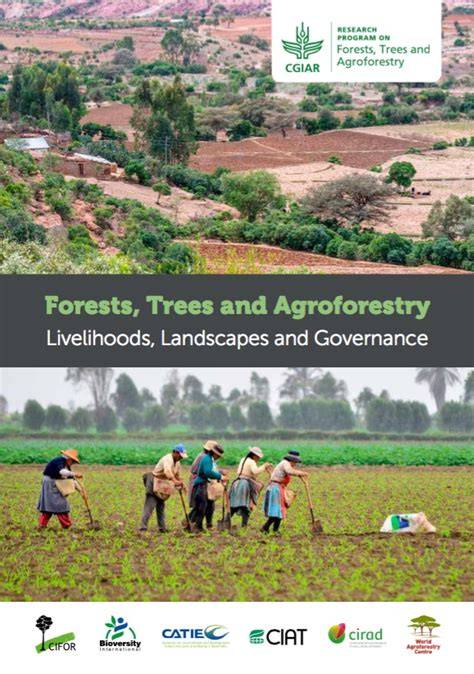 GFLL GOVERNANCE, FOREST LANDSCAPES AND LIVELIHOODS - NORTHERN LAOS - raincitystudios.com