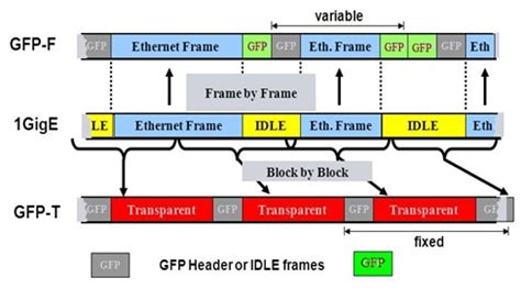 GFP-T vs GFP-F Difference between GFP-T and GFP-F - RF …