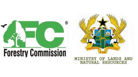 Ghana Forestry Commission and Terraformation Advance Forest … - raincitystudios.com
