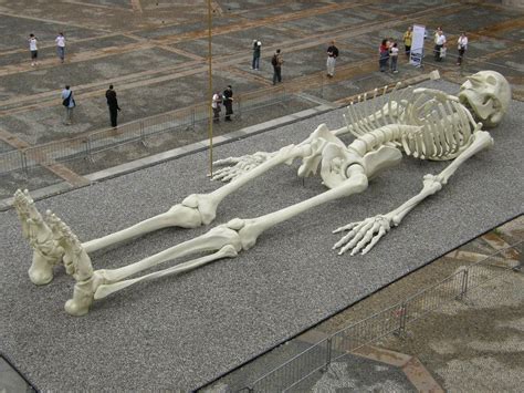 Giant human skeletons - balustradellc
