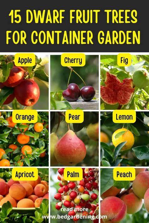 Giant List of Dwarf Fruit Trees & Plants - The Yankee Dirt - raincitystudios.com