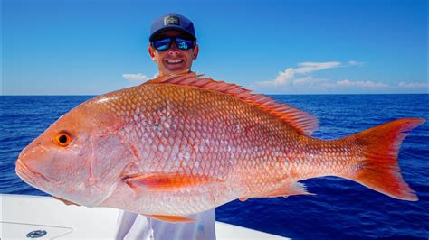 GIANT Red Snapper, Grouper, Tuna! Catch Clean Cook (Gulf of ... - YouTube