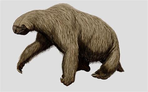 Giant Sloths Extinct - wintechmobiles.com