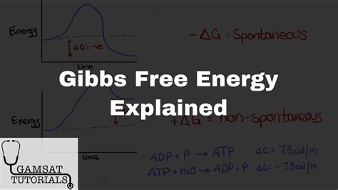 Gibbs Free Energy Explained in 12 Minutes | Spontaneity ... - wintechmobiles.com