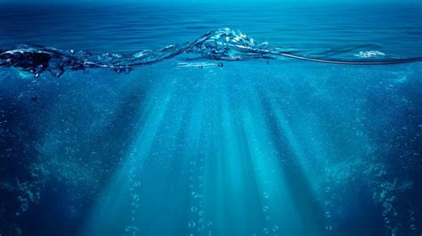 Gigantisme laut dalam - Wikipedia bahasa Indonesia, … - muktibox.com