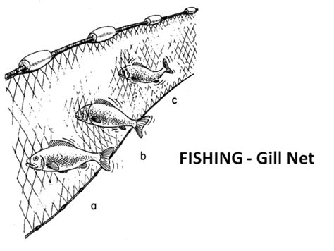 Gill Nets and their Operation - balustradellc
