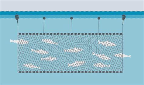 Gillnets | Australian Fisheries Management Authority - balustradellc