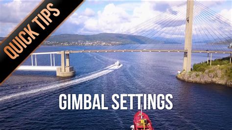 Gimbal Settings Explained: - Live to Plant - balustradellc