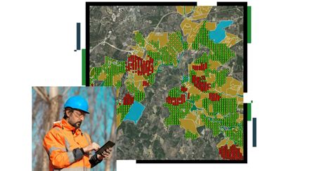 GIS for Forestry: Mapping, Analysis, and Management - raincitystudios.com