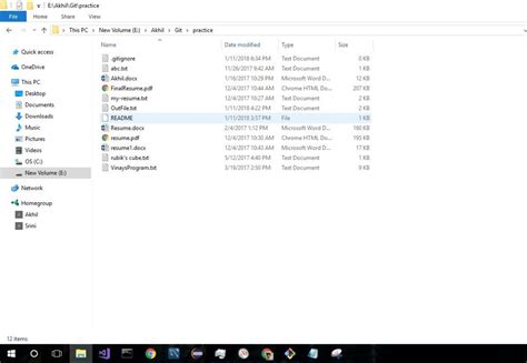 GITIGNORE File What It Is and How to Open One 