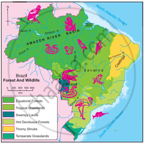 Give geographical reason for the following: Deciduous type of ... - muktibox.com