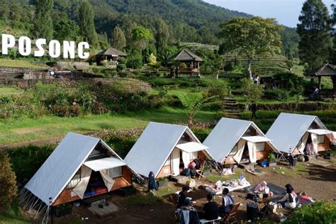 Glamping di Temanggung, Nikmati Sunrise dan View … - balustradellc
