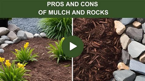 Glass Mulch Pros And Cons - Your Lawn Fairy - raincitystudios.com