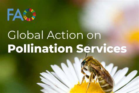 Global Action on Pollination Services for Sustainable … - raincitystudios.com
