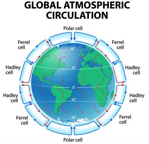 Global Atmospheric and Oceanic Circulation - MetLink - raincitystudios.com