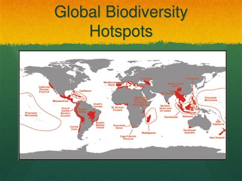 Global Biodiversity Hotspots - raincitystudios.com