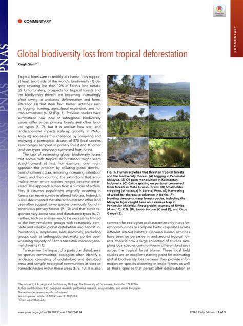 Global biodiversity loss from tropical deforestation - PNAS - raincitystudios.com