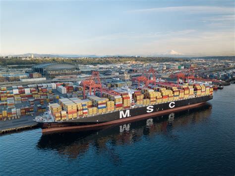 Global Container Shipping Company | MSC - balustradellc