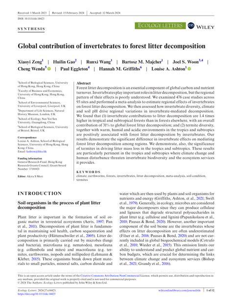 Global contribution of invertebrates to forest litter decomposition - raincitystudios.com