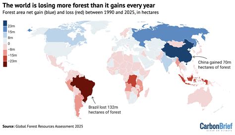 Global Deforestation - Connect Civils - muktibox.com