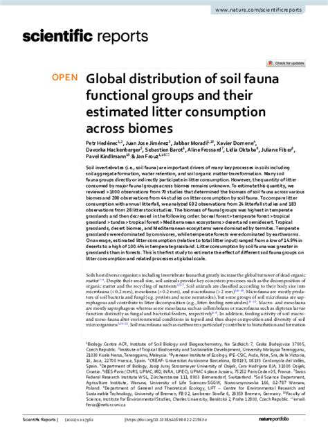 Global distribution of soil fauna functional groups and their estimated ... - raincitystudios.com