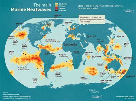 Global Diversity of Marine Heatwave Evolutions - raincitystudios.com