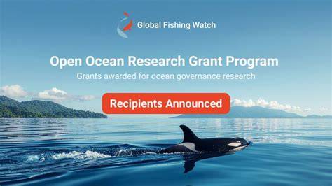 Global Fishing Watch Open Ocean Research Grant Program - raincitystudios.com