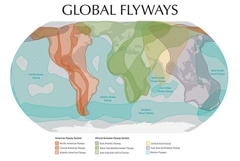 Global flyways - BirdLife International - wintechmobiles.com