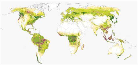 Global Forest Analysis - Overview - ArcGIS - raincitystudios.com