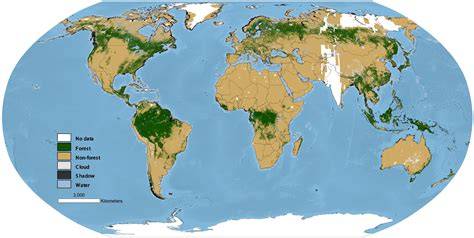 Global Forest Maps to See the Forest for the Trees - raincitystudios.com