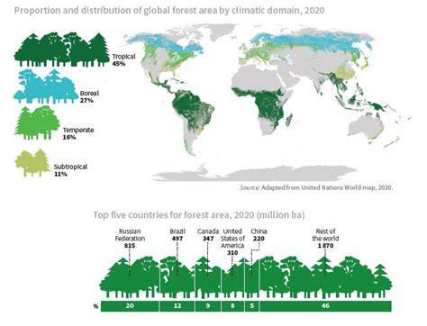 Global Forest Resources Assessment 2020 - raincitystudios.com
