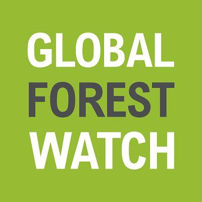 Global Forest Watch and Forest Resources … - raincitystudios.com