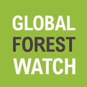 Global Forest Watch ArcGIS Online Portal - raincitystudios.com