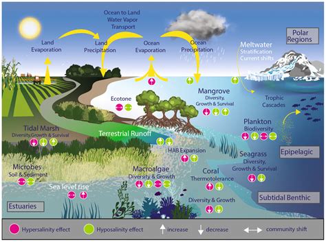 Global goals overlook freshwater conservation | Science - raincitystudios.com