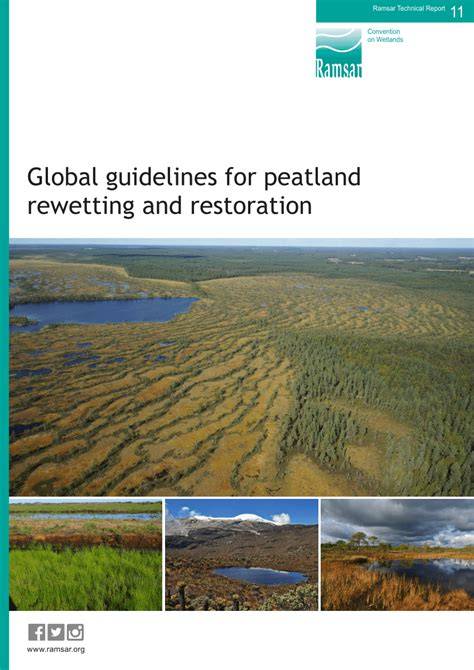 Global guidelines for peatland rewetting and restoration - raincitystudios.com