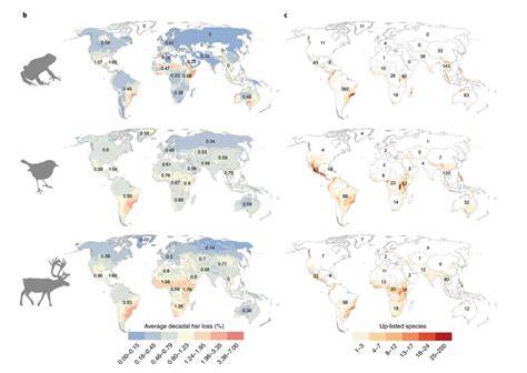 Global habitat loss and extinction risk of terrestrial vertebrates ... - raincitystudios.com