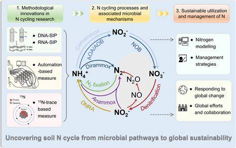 Global patterns and drivers of soil microbial nitrogen and ... - Nature - raincitystudios.com