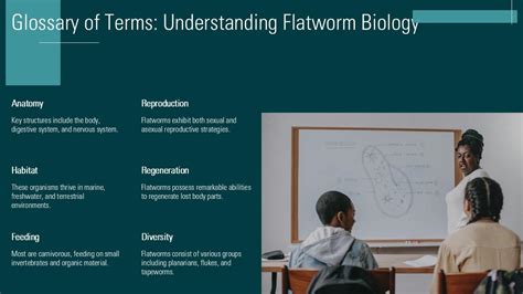 Glossary of Terms | Extron - balustradellc