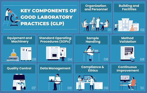 GLP-3 RT Lab Safety: Handling and Storage Best Practices - raincitystudios.com