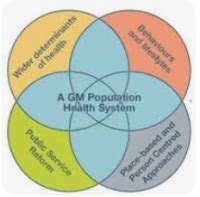 GM Population Health Plan - Bury