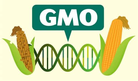 GMO - Overview, News & Competitors ZoomInfo.com