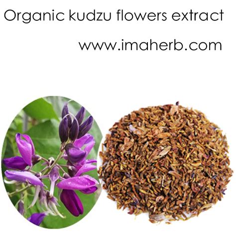 GMP Manufacture Organic Kudzu Flowers Extract - Xi