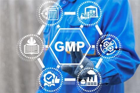 GMP Regulations and Compliance for API and Excipients - balustradellc