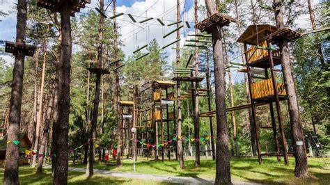 Go Ape Sherwood Pines | High Ropes & Forest … - raincitystudios.com
